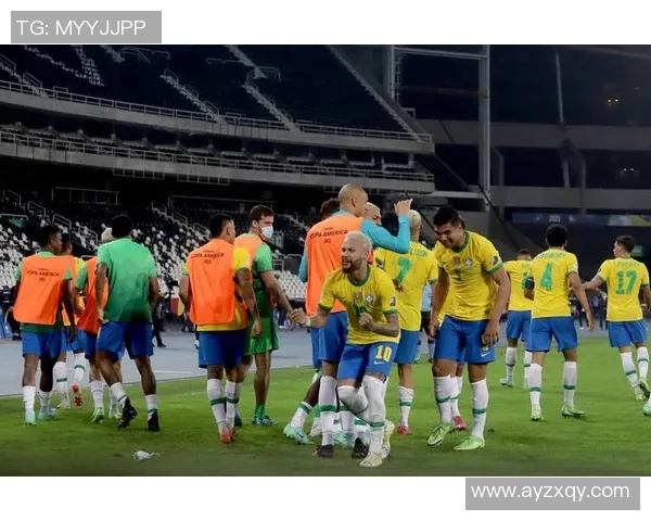 巴西国家男子足球队球星辉煌历程与绿茵传奇全面解析